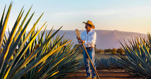 Tequila Don Julio 1942